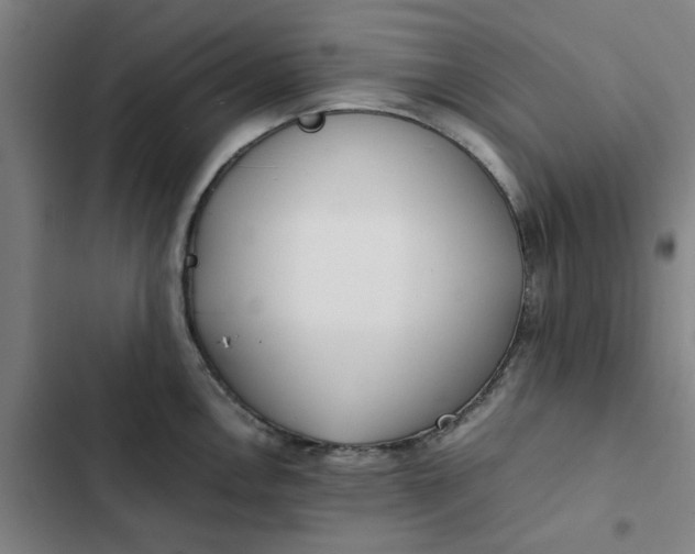X0000102471146200808221637