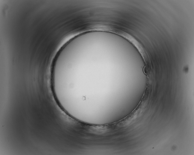 X0000102471147200808221637