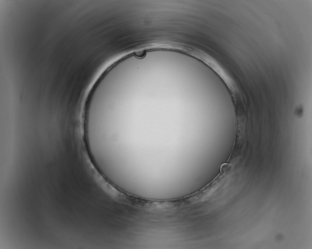 X0000102471148200808221637