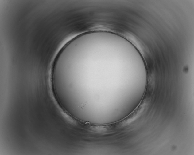 X0000102471149200808221637