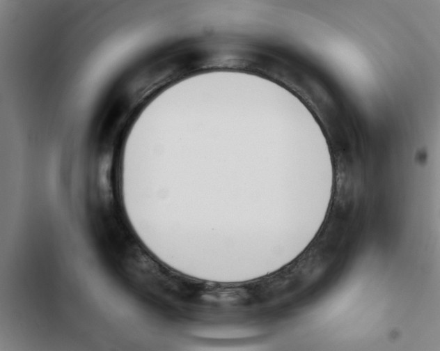 X0000102471150200808221637