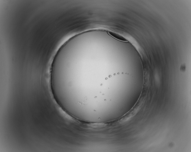 X0000102471151200808221637