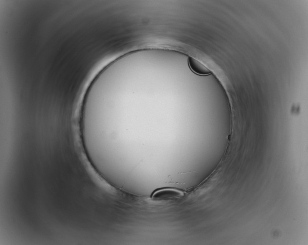 X0000102471152200808221637