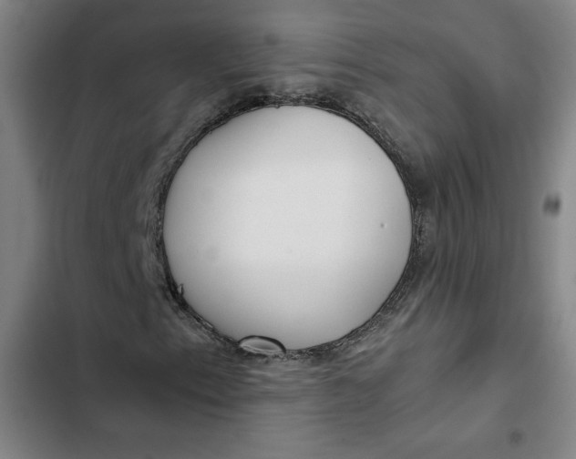 X0000102471153200808221636