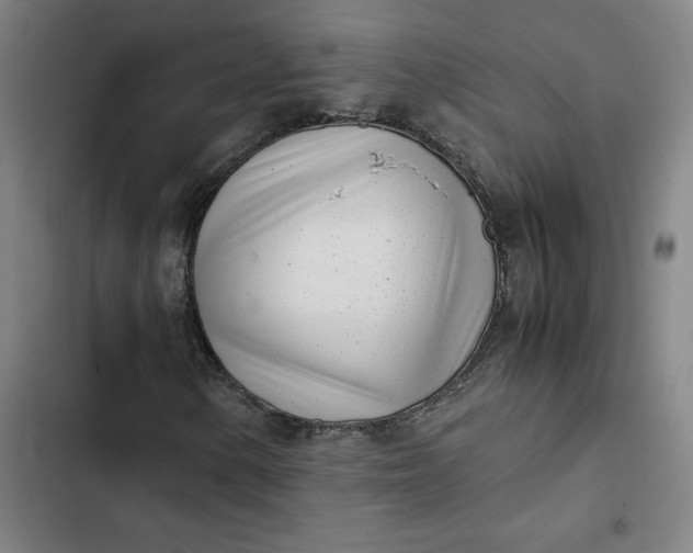 X0000102471154200808221636
