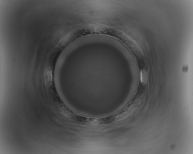 X0000102471155200808221636