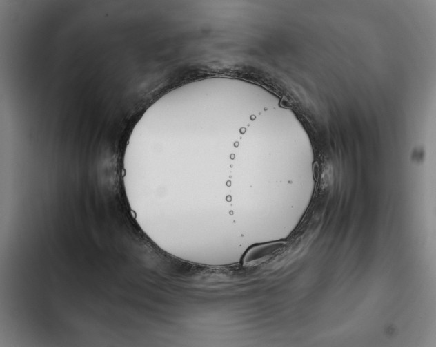 X0000102471156200808221636
