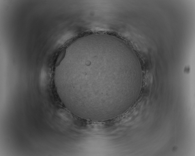 X0000102471157200808221636