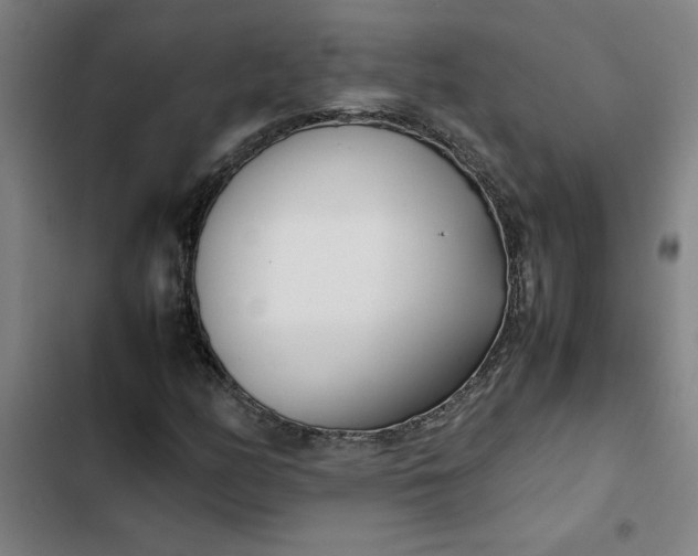 X0000102471158200808221636