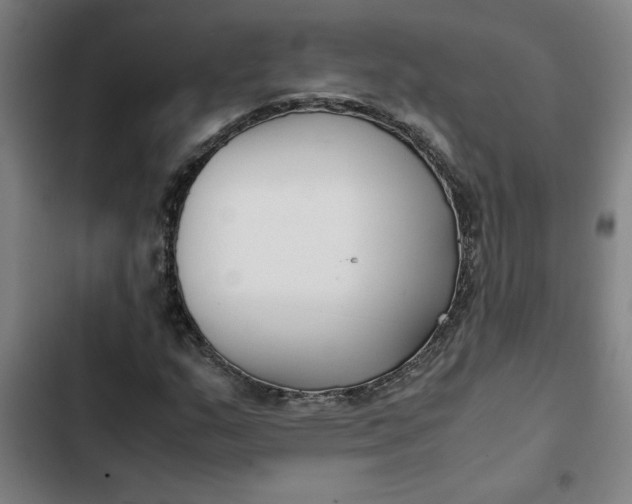 X0000102471159200808221636