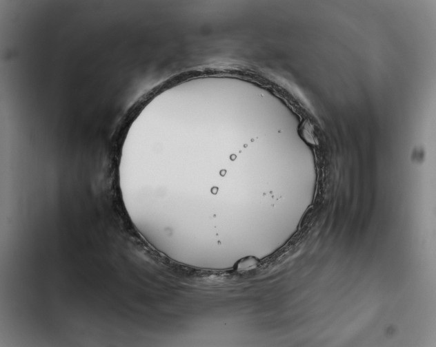 X0000102471160200808221636