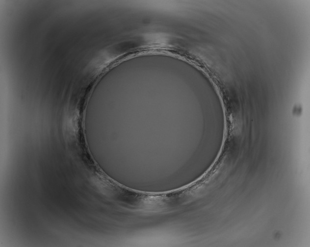 X0000102471161200808221636