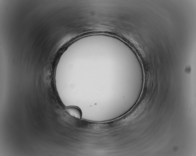 X0000102471163200808221636