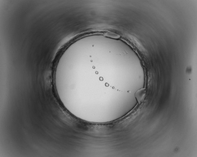 X0000102471164200808221636