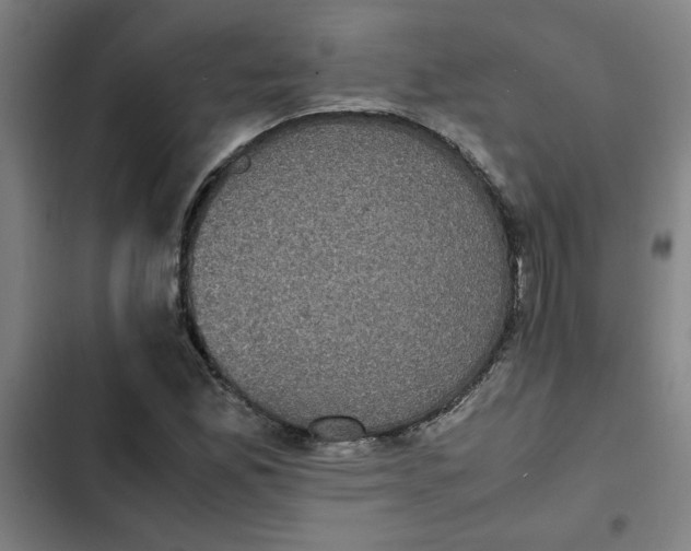 X0000102471165200808221636