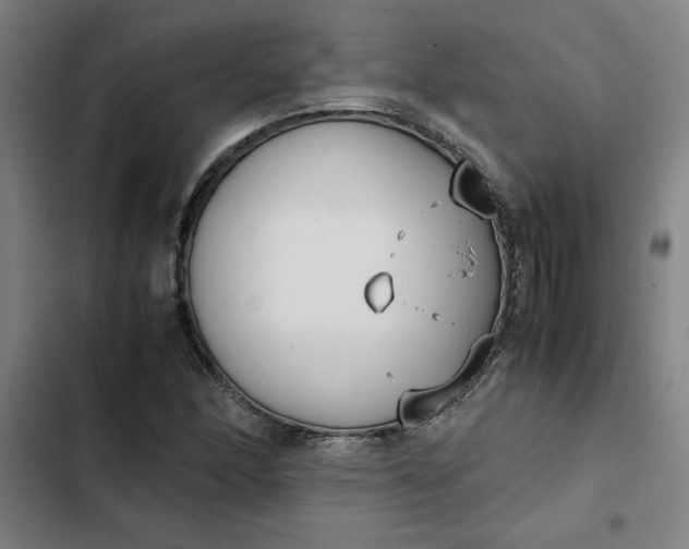 X0000102471166200808221636