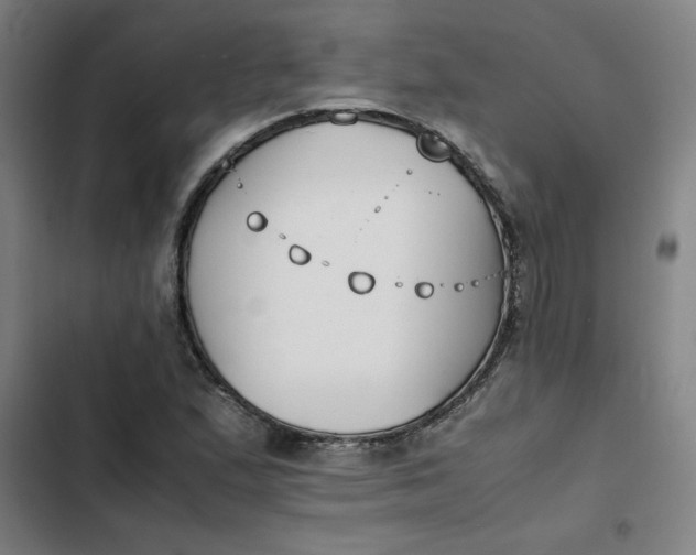 X0000102471167200808221636