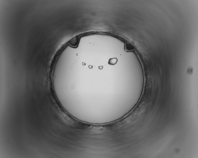 X0000102471168200808221636