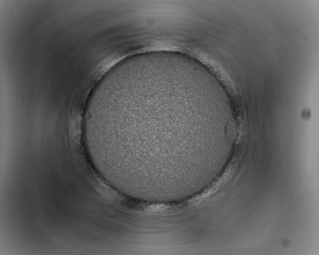 X0000102471169200808221636