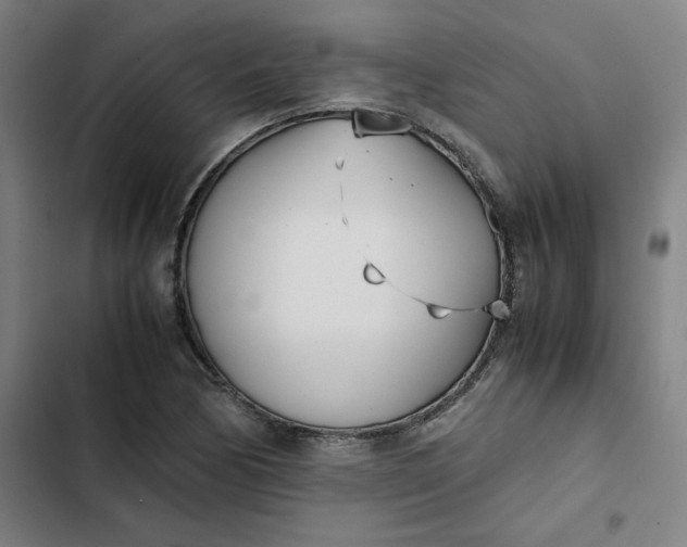 X0000102471170200808221636