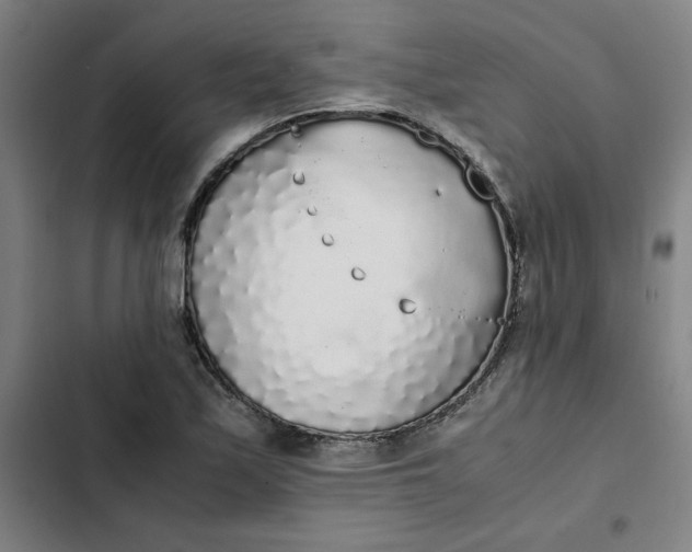 X0000102471171200808221636