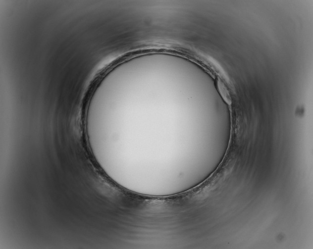 X0000102471172200808221636