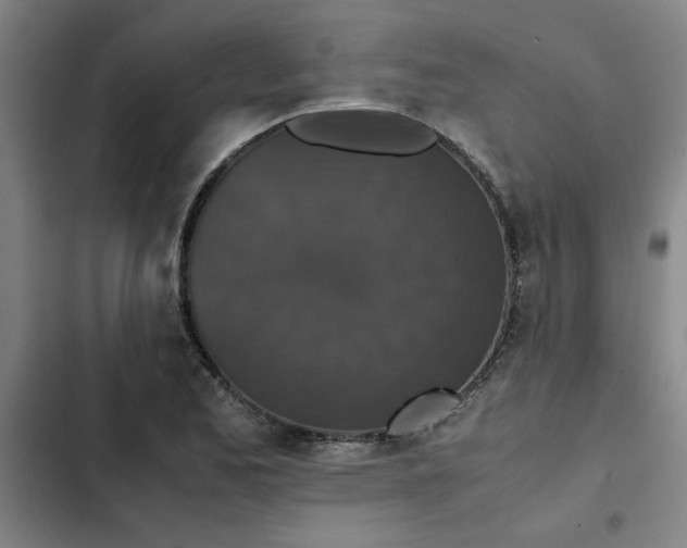 X0000102471173200808221636