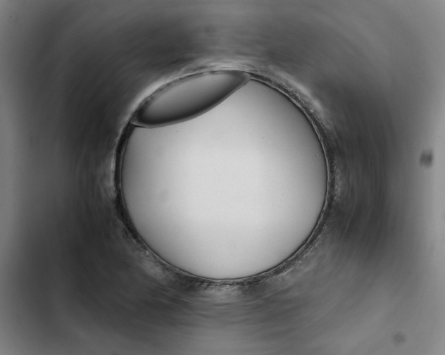 X0000102471174200808221636