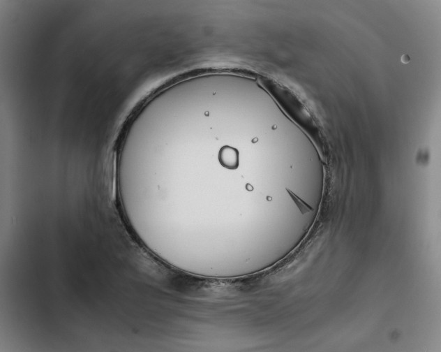 X0000102471175200808221636