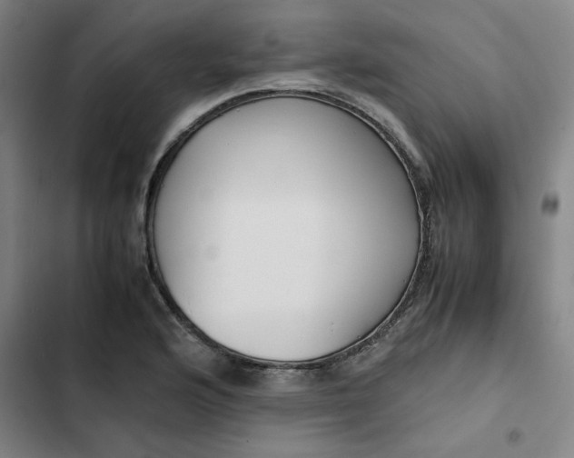 X0000102471176200808221636