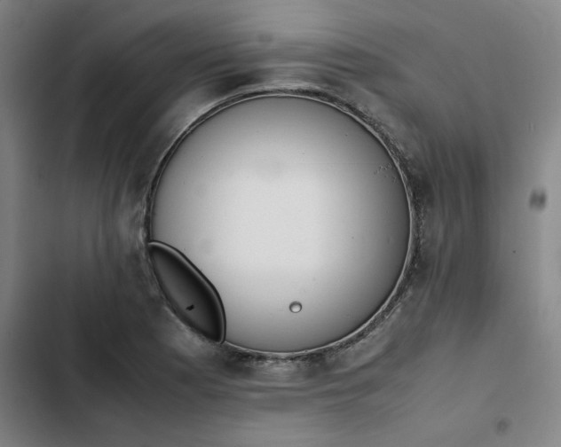 X0000102471177200808221636