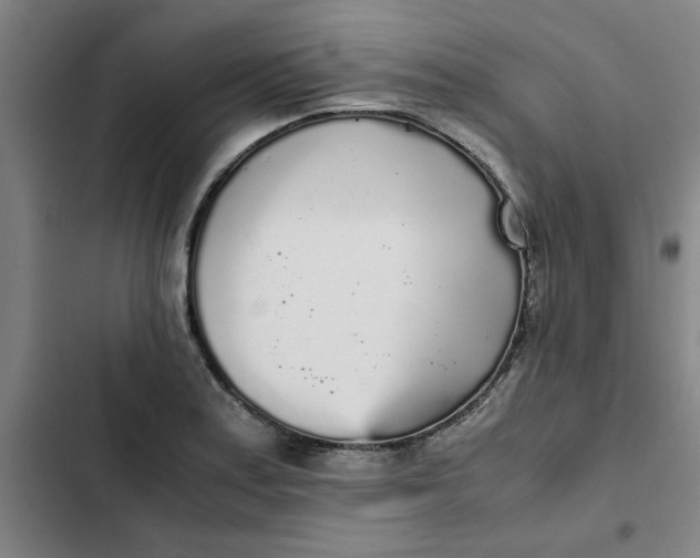 X0000102471179200808221636