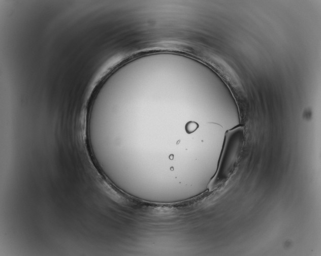 X0000102471180200808221636