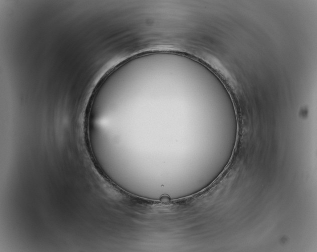 X0000102471181200808221636