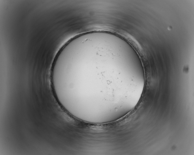 X0000102471182200808221636
