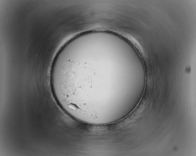 X0000102471183200808221636