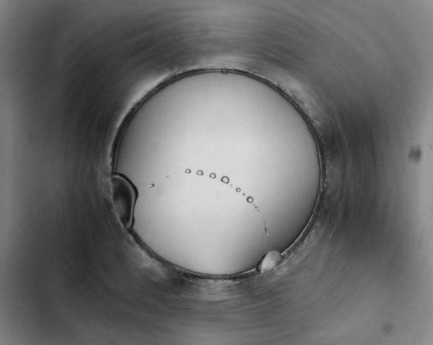 X0000102471184200808221636