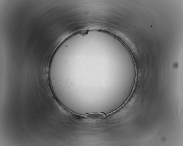 X0000102471185200808221635