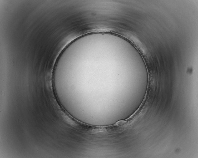 X0000102471186200808221635