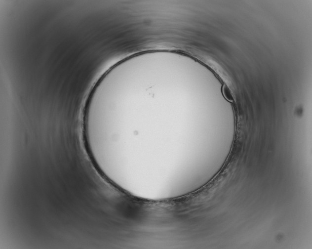 X0000102471187200808221635