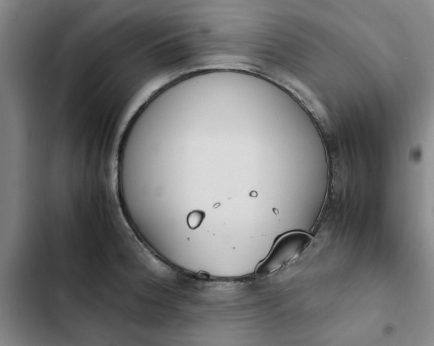 X0000102471188200808221635