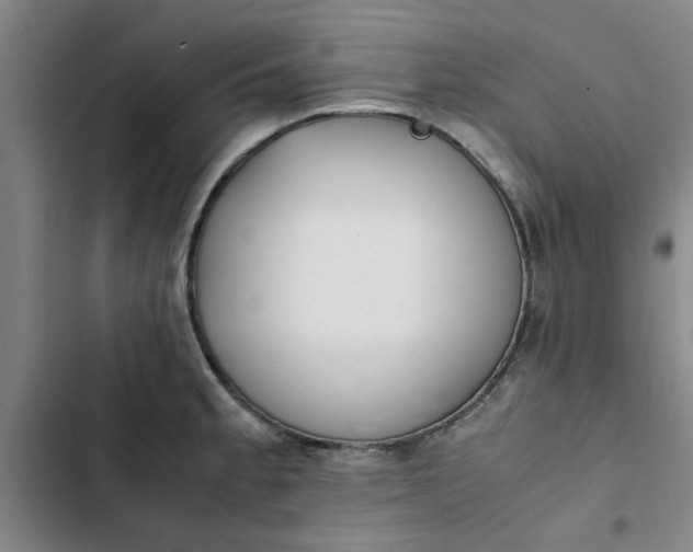 X0000102471189200808221635