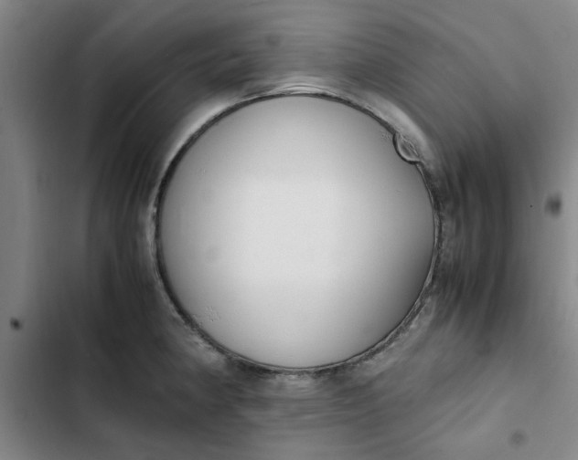 X0000102471190200808221635