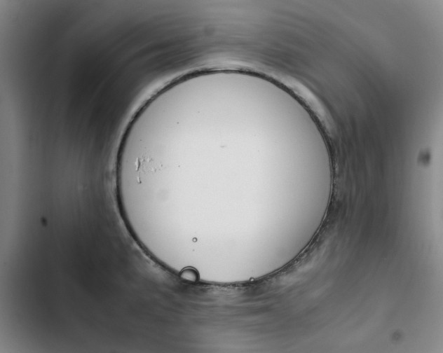 X0000102471191200808221635