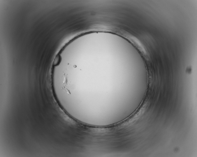 X0000102471192200808221635
