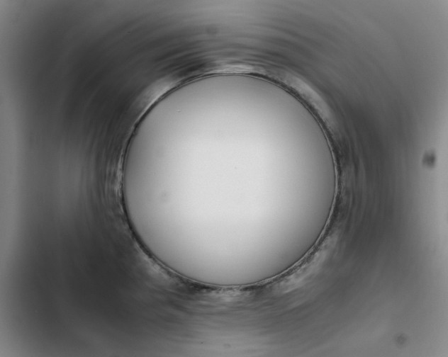 X0000102471193200808221635