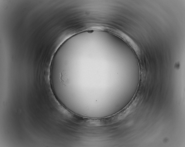 X0000102471194200808221635