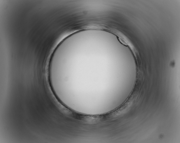 X0000102471195200808221635