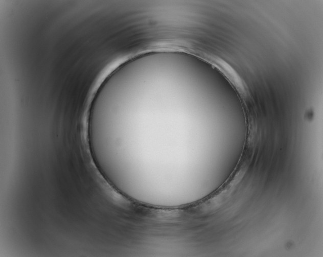 X0000102471196200808221635