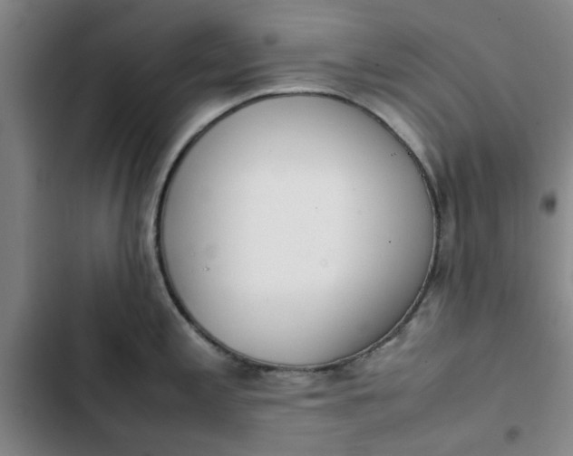 X0000102471197200808221635